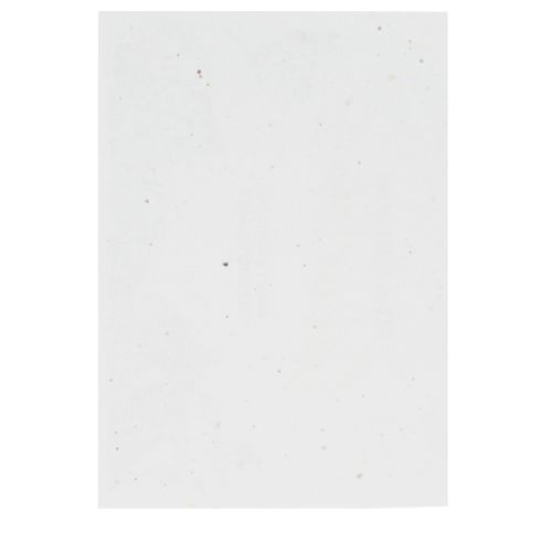 Seed paper unprinted SRA3 | 200gsm - Image 2